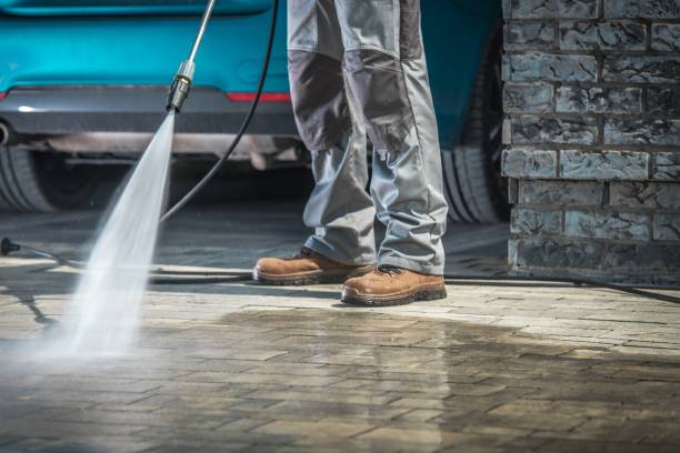 Best Driveway Pressure Washing  in San Juan, TX